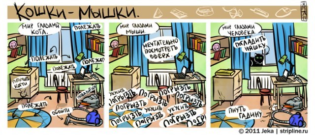 Екатерина Корнилова | Воронеж