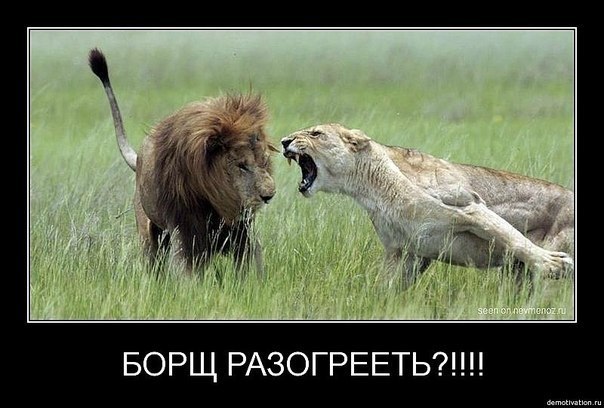 Андрей Апанасенко HasusMind | Москва