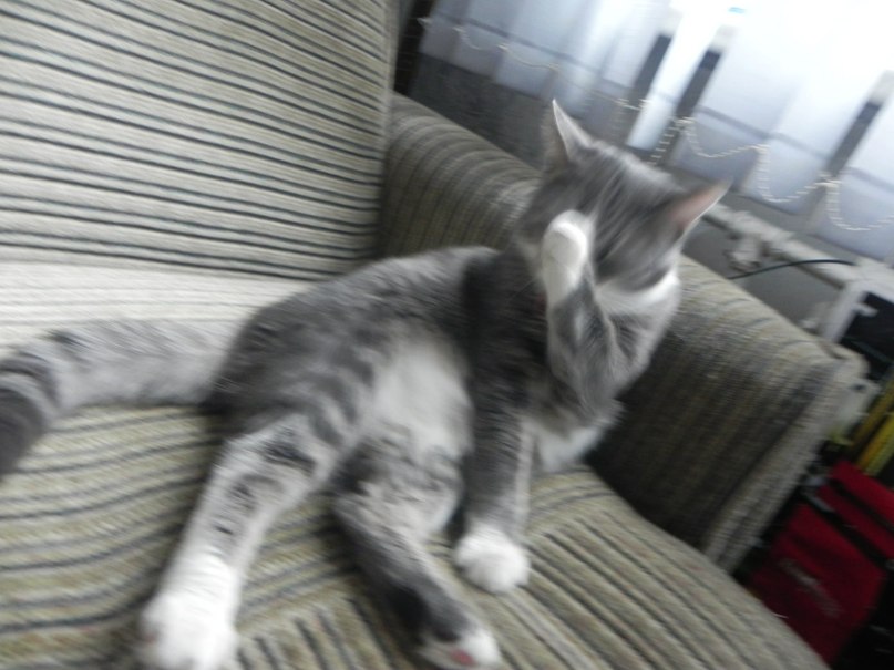 Максим Мусапиров | Санкт-Петербург