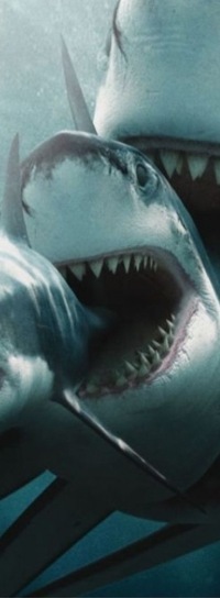 «Школа переговорщиков»-Искусство договариваться! 2024 | ВКонтакте