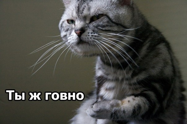 Дмитрий Марковский | Bergen