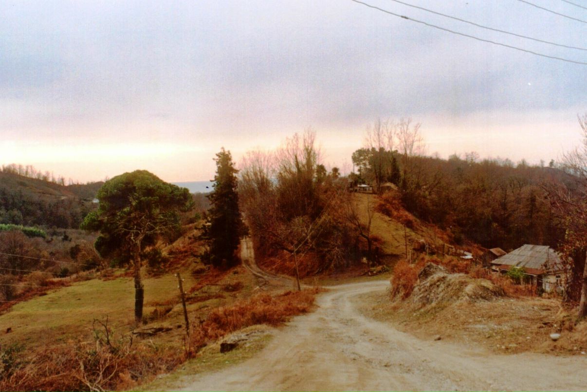 Ольга Старшинова - ostar - | Москва