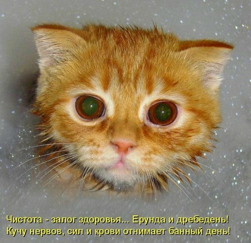 Мария Моисейчева | Киев