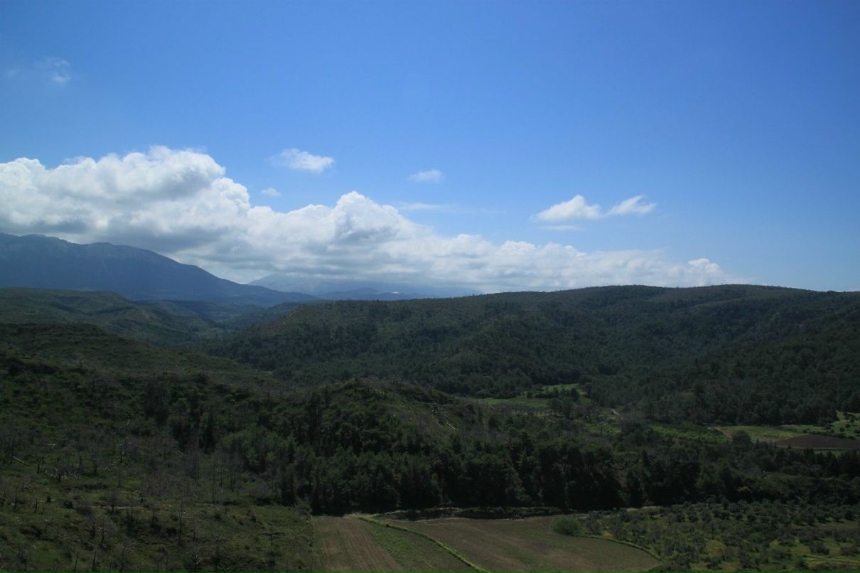 Ronald Shipitsyn | Беэр Шева