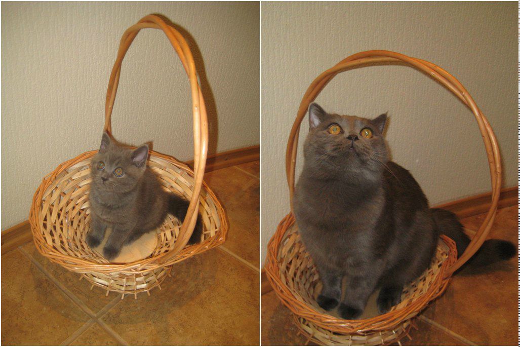 Елена Федореева | Хабаровск