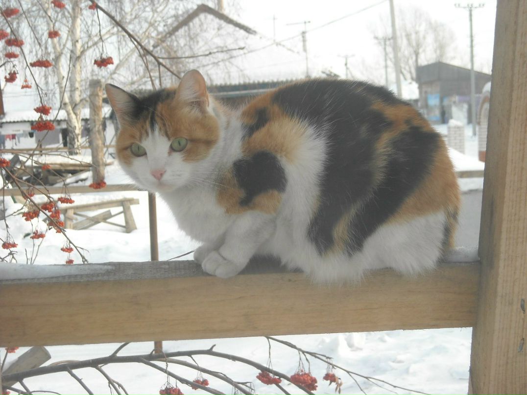 Мария Логинова | Барнаул