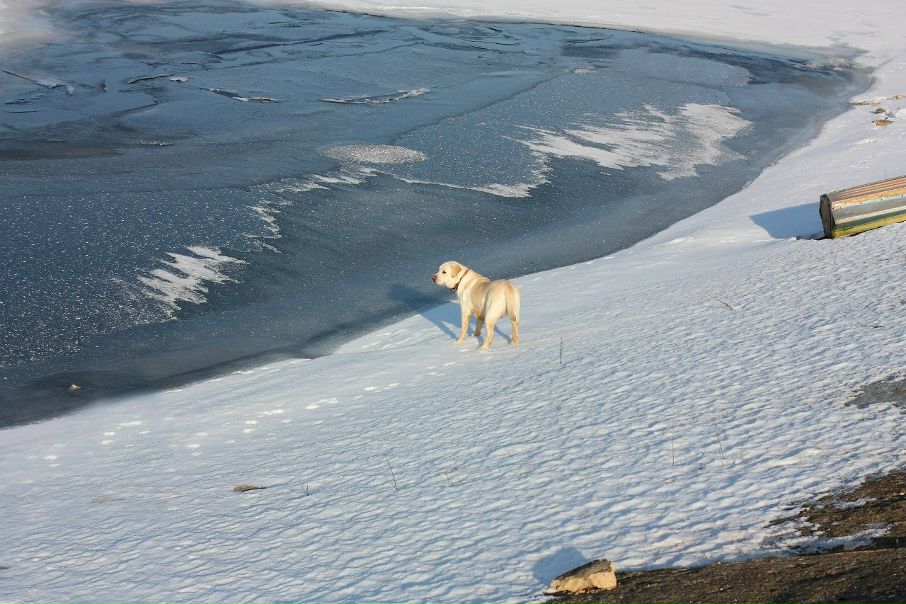 №16, Екатерина Калинина №16, Екатерина Калинина