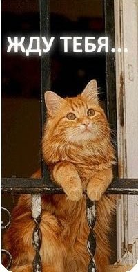 Rita Petkeviciene | Вильнюс