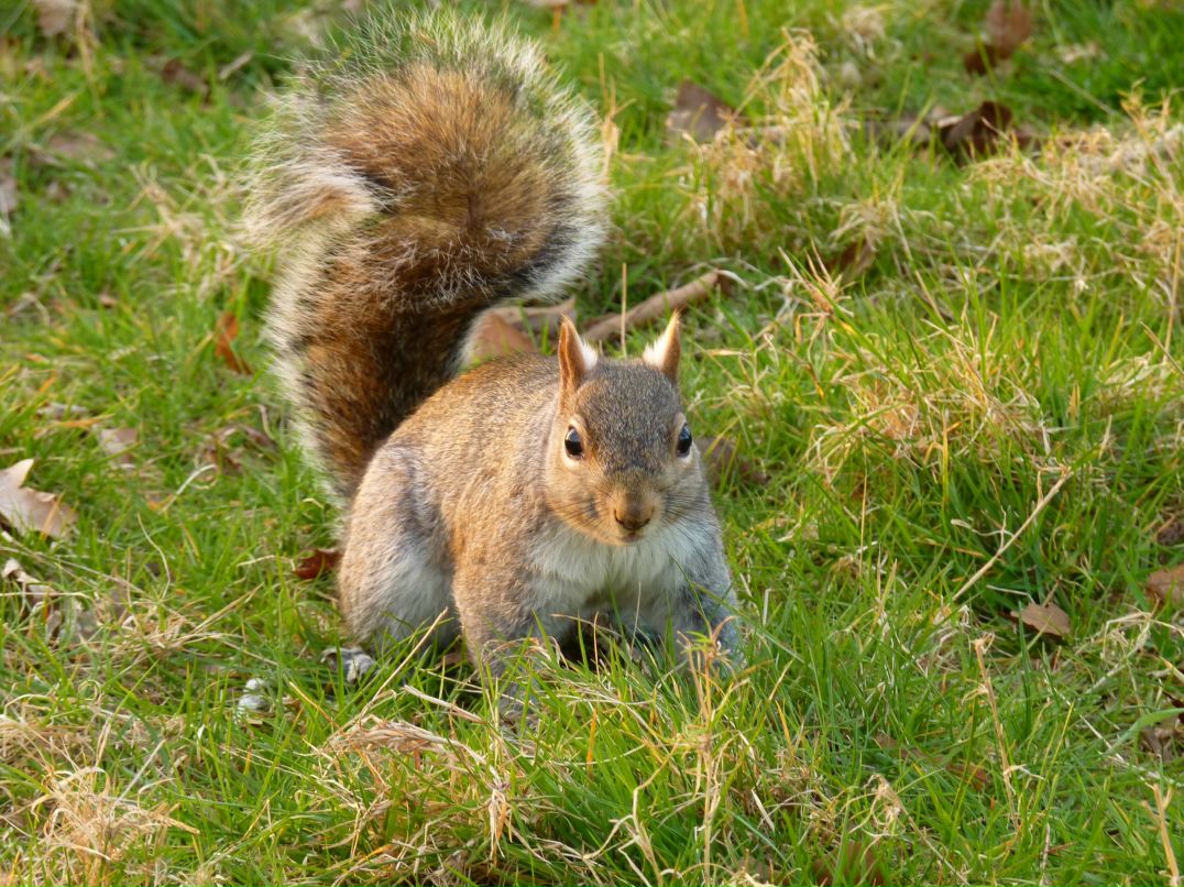 Тая Котикова | 