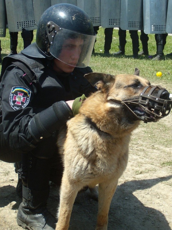 Илья Зимин | Киев