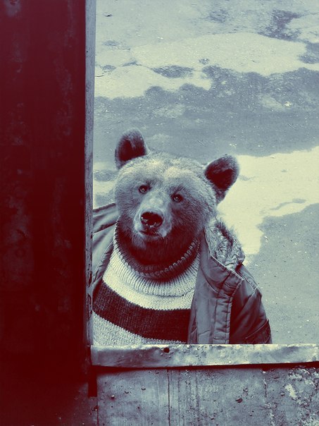 Дмитрий Рыжих | 