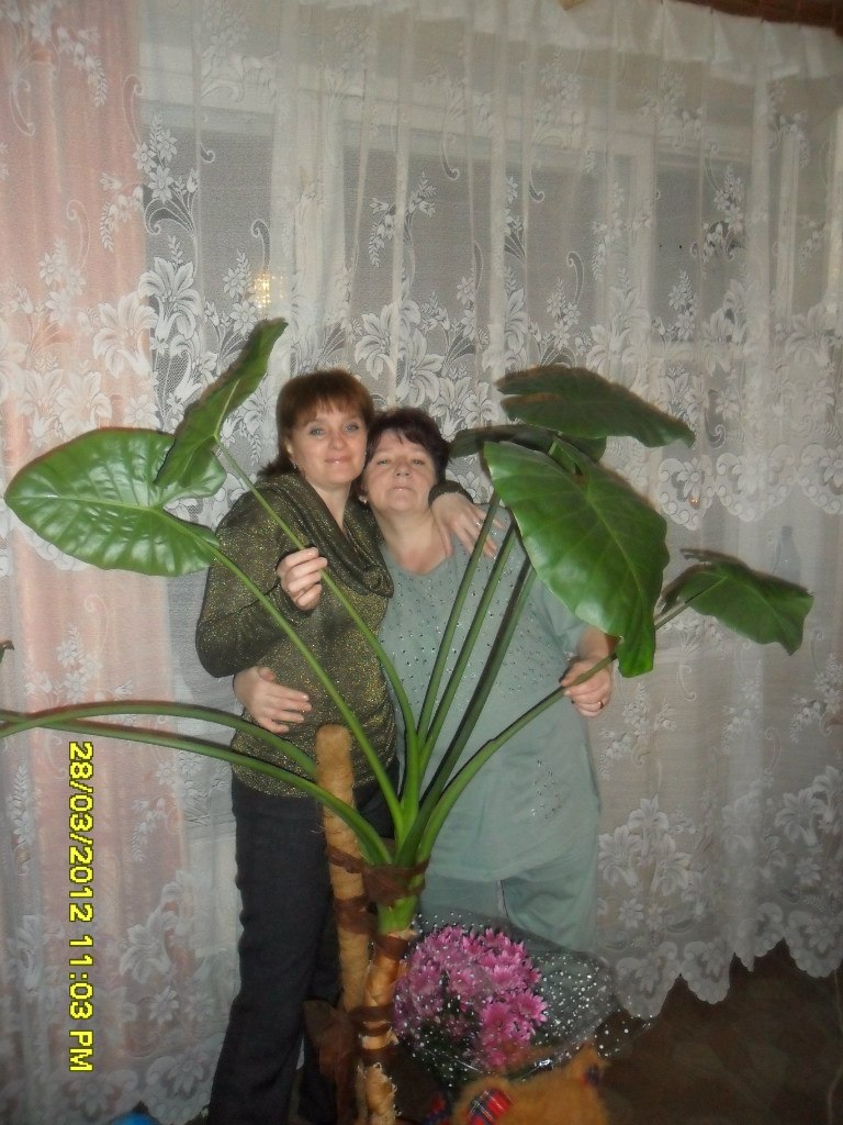 Катюня Пахомова | Красноярск