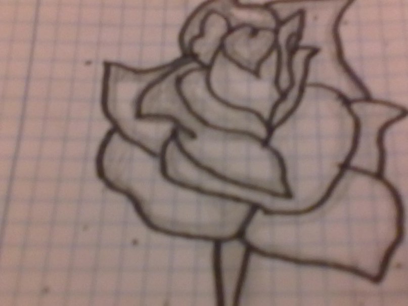 Аделя Баязитова | Уфа