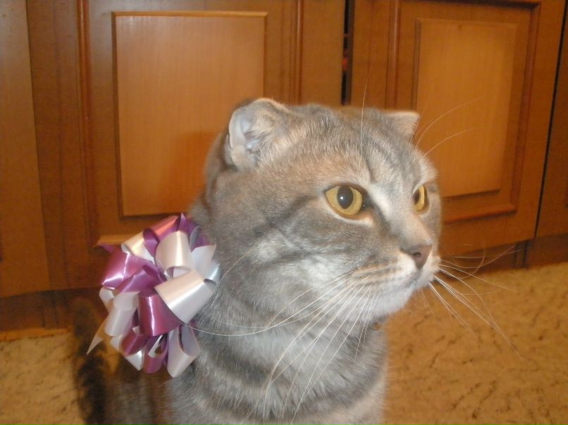 Кристина Маринко ♡ NARкотик ♡ | Днепр (Днепропетровск)