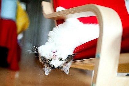 Лидия Ворожцова Ikona | Нижний Тагил