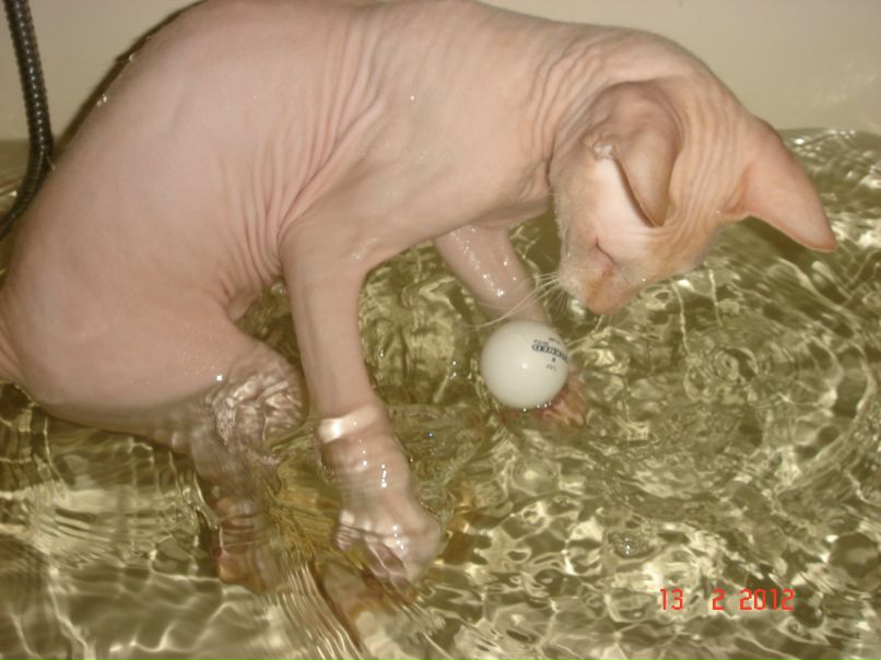 Дмитрий Аблаутов | Санкт-Петербург