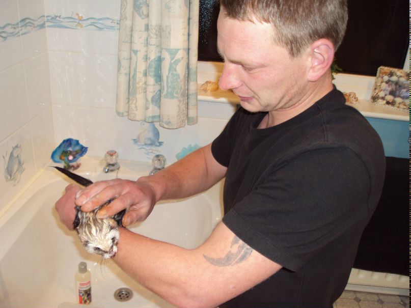 Саша Гончарук | Киев