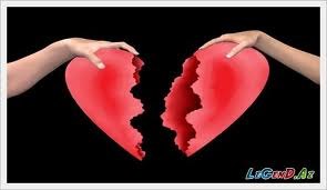 Шахин Алиев | Москва