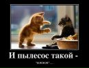 Фотография Алексей Широков