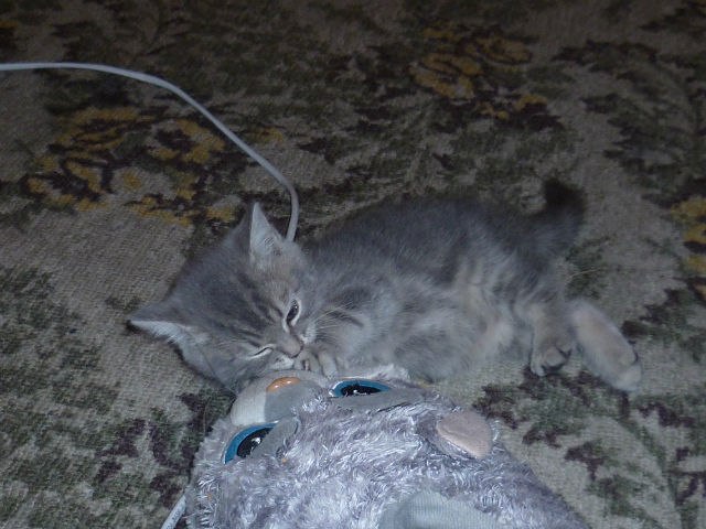 Аня Дородных | Донецк