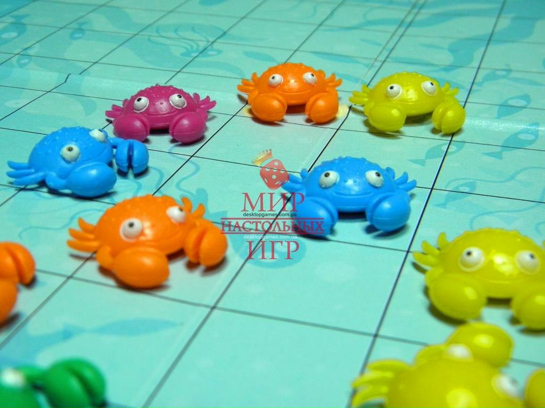 Андрей Рожков | Санкт-Петербург