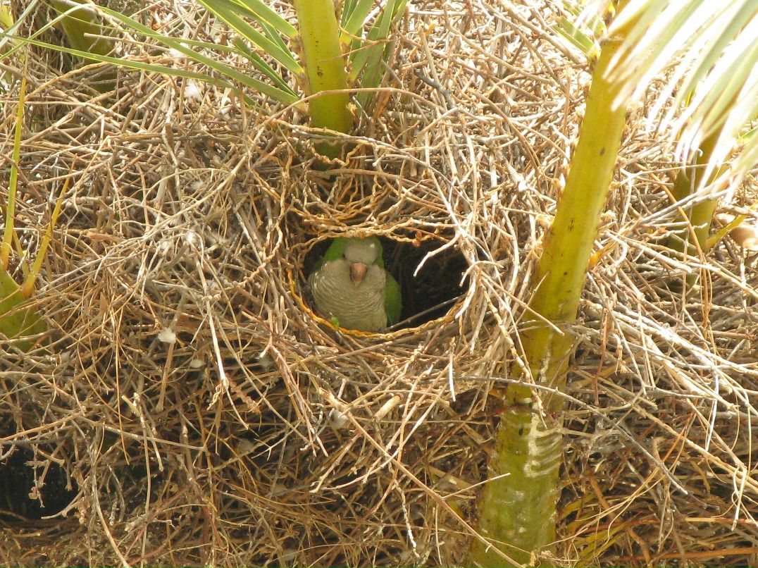 Дмитрий Новиков | Киев