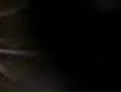 Виктория Медведева ♥Ƹ̴Ӂ̴Ʒ♥!КЫСЬ-МУРЫСЬ!♥Ƹ̴Ӂ̴Ʒ♥ | Мирный