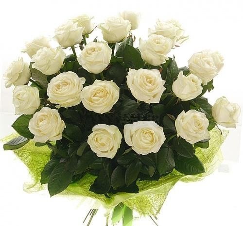 Алексей Шляхтин | Иркутск