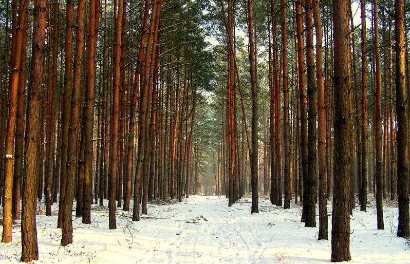 Серёга Крюкин | Москва