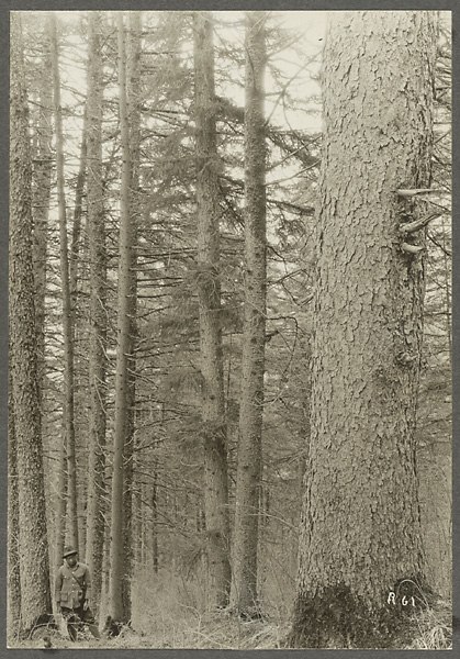 Анна Ярмош | Москва