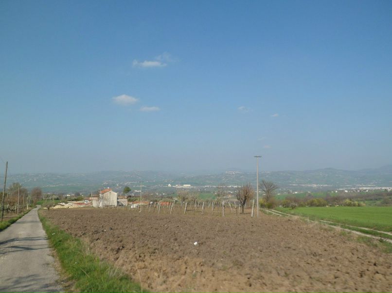 Андрій Хома | Тернополь