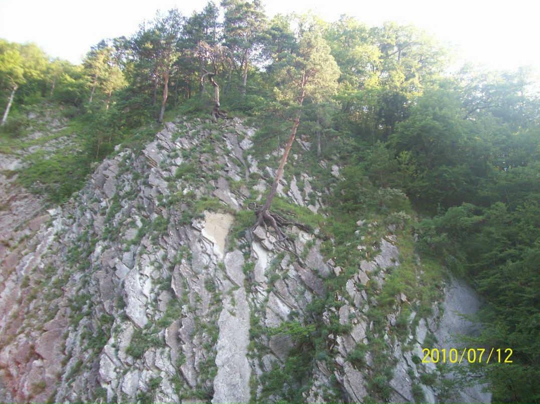 Мирослав Коваленко | Геленджик