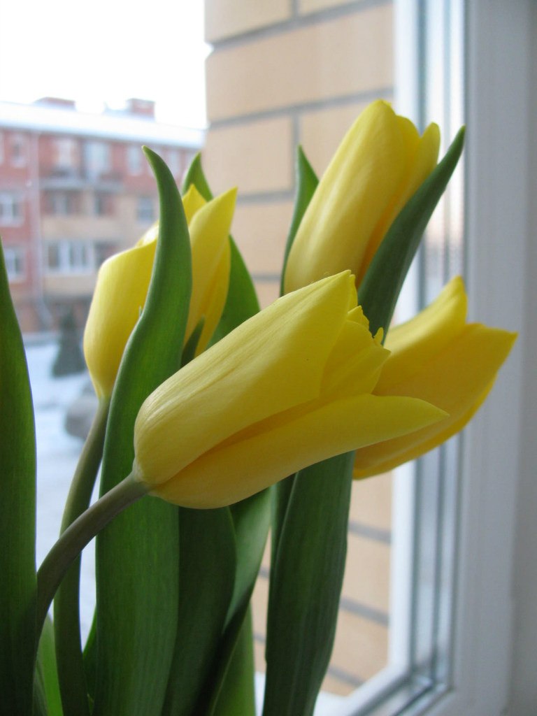 Елена Митюкова | Москва