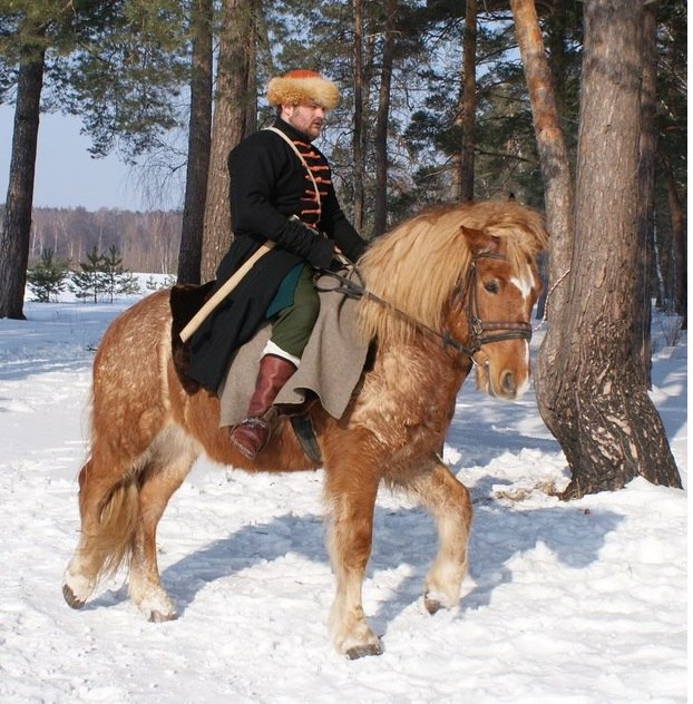 Вася Рябов | Домодедово (село)