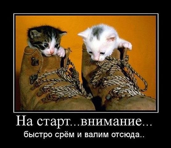 Алёна Замышляева | Луна