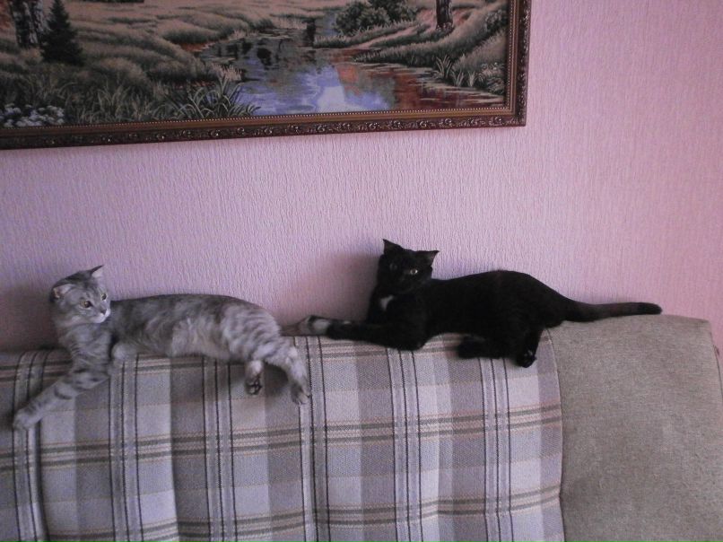 Ксения Ахметова | Тольятти