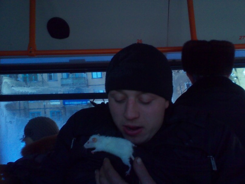 Дмитрий Романовский викторовичь | Витебск