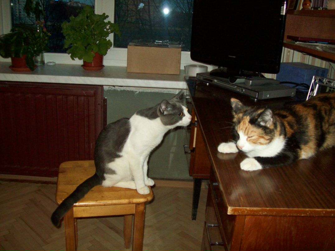 Галина Столярова Петровна | Санкт-Петербург