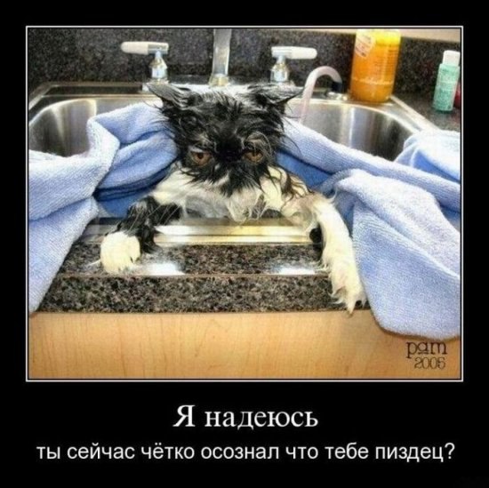 Николай Безлепкин n0nam3D | Черкассы