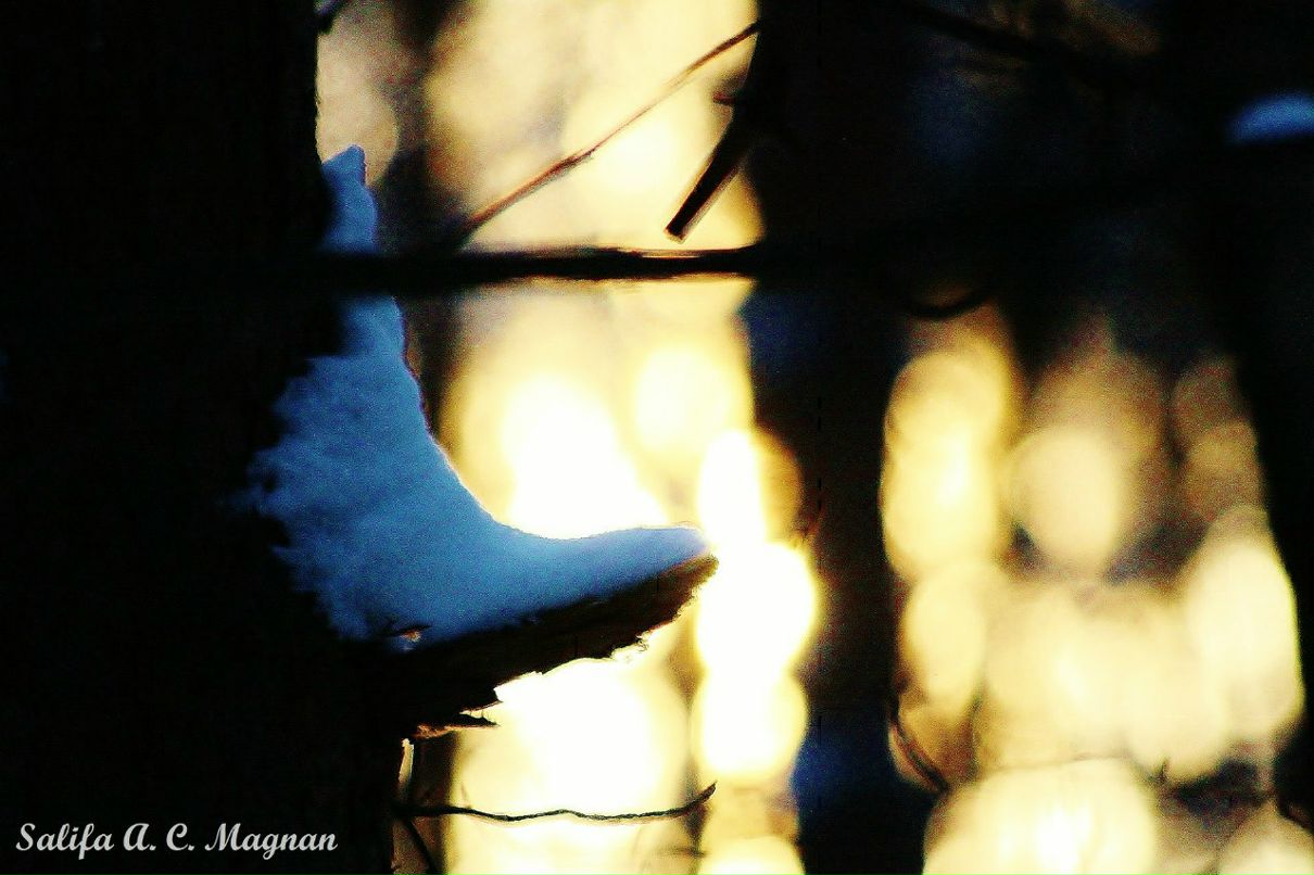 Салифа Маньан Антуанет | Москва