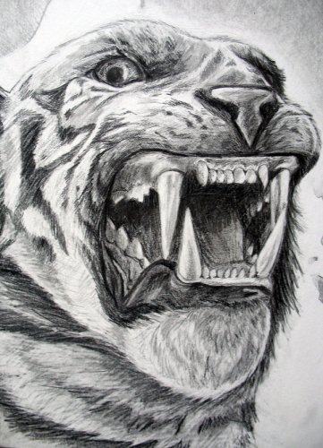 №7, Дима Карасев №7, Дима Карасев