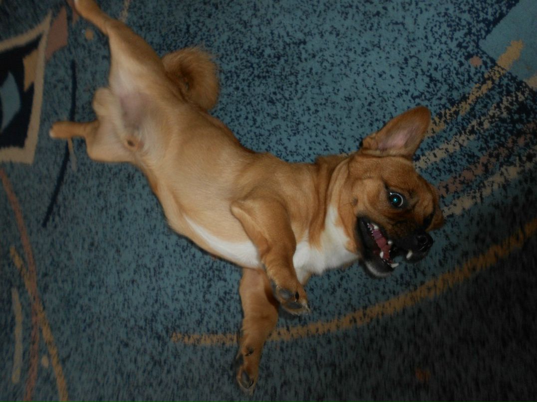 Evgeniy Boltik | Минск