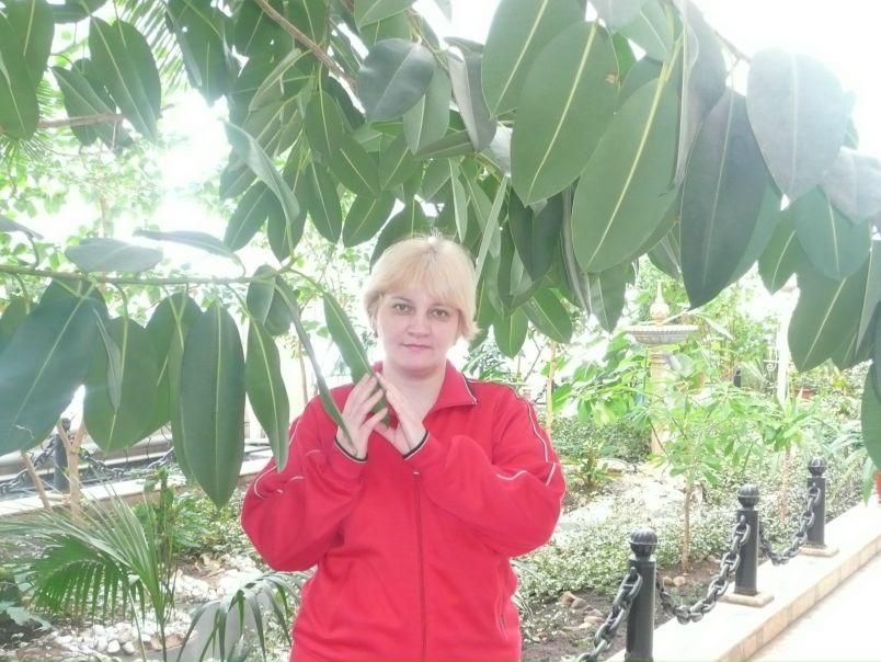 №1, Алсу Полевая №1, Алсу Полевая