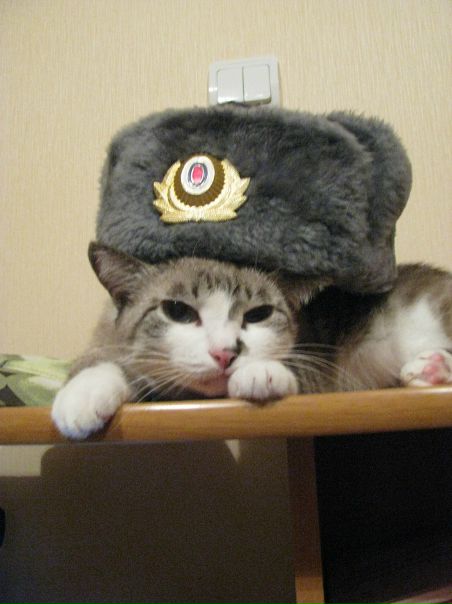 №53, Мария Иванова, 31 год, Красноярск №53, Мария Иванова, 31 год, Красноярск