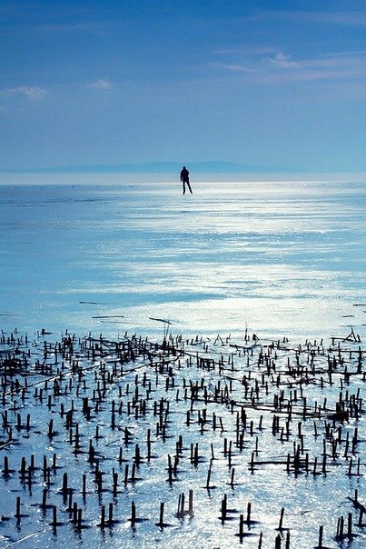 Алина Богданова | 