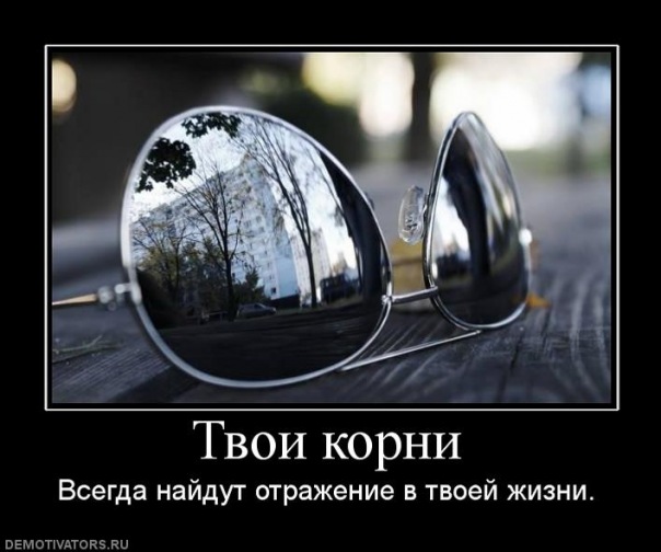 №183, Жека Торяник, Житомир №183, Жека Торяник, Житомир