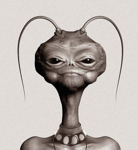 №3, Li Averi №3, Li Averi