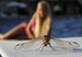 Катя Кадочникова фотография #12