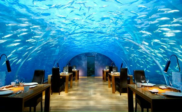 №30, Виталий Дударь, 40 лет, Брест №30, Виталий Дударь, 40 лет, Брест