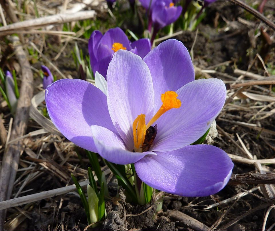 Манюня Туманова | Санкт-Петербург